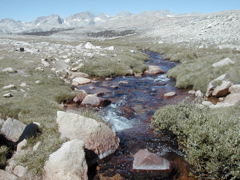 P8260295