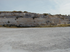 PA020063