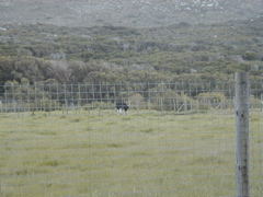 PA010013